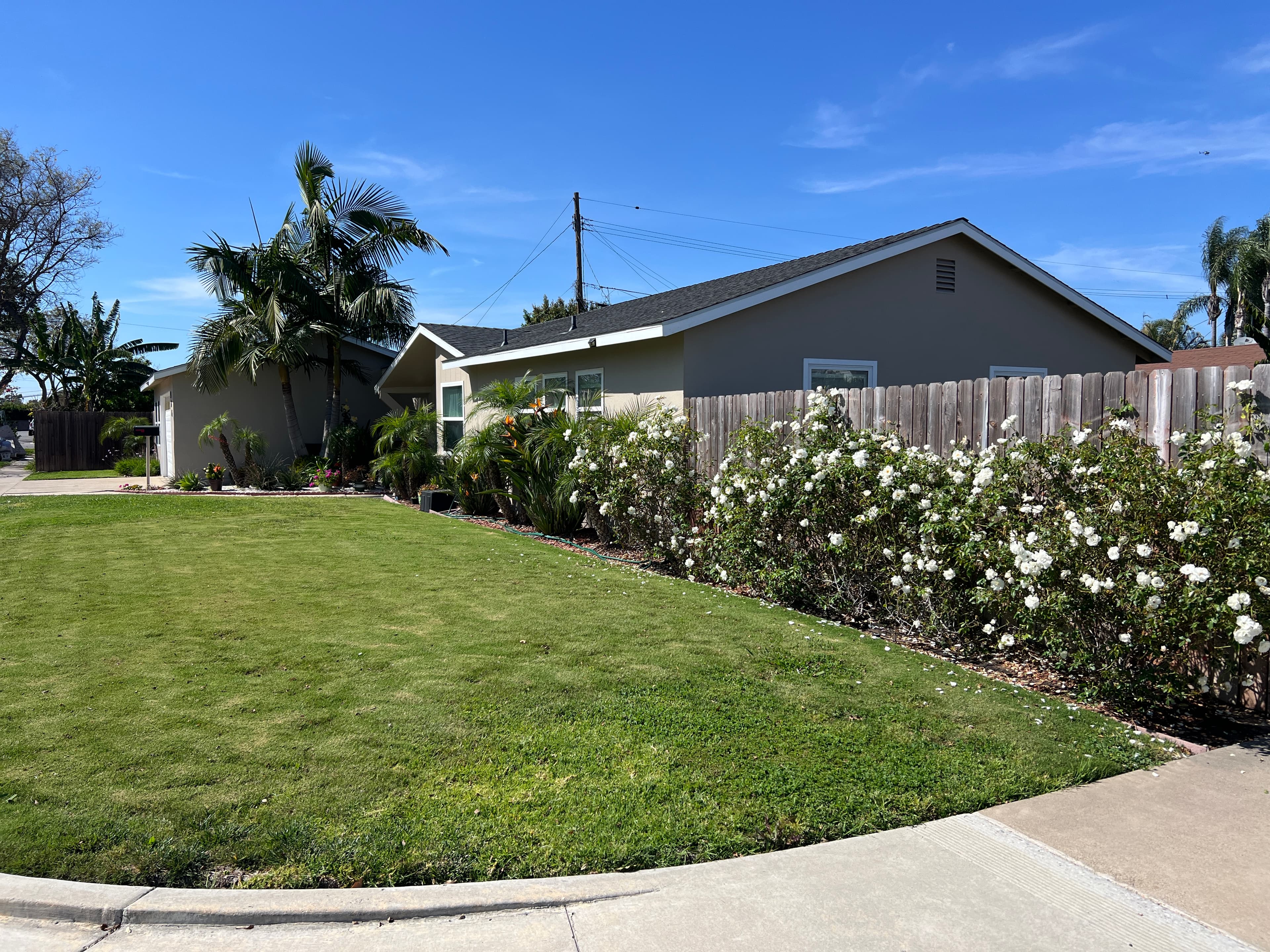 Agape House 3 side view — green lawn with rose bushes and tropical plants