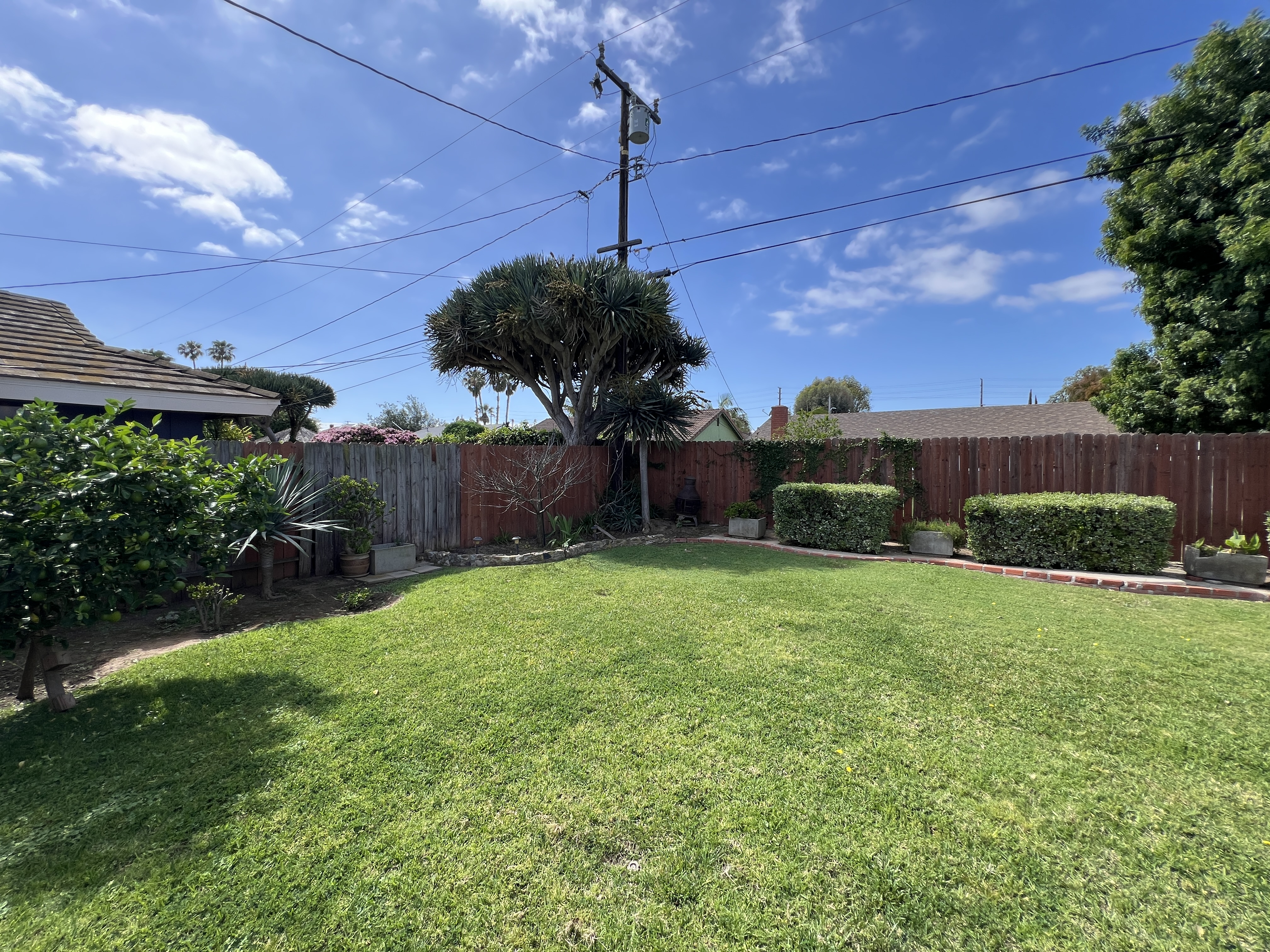 Spacious backyard lawn
